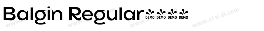 Balgin Regular字体转换